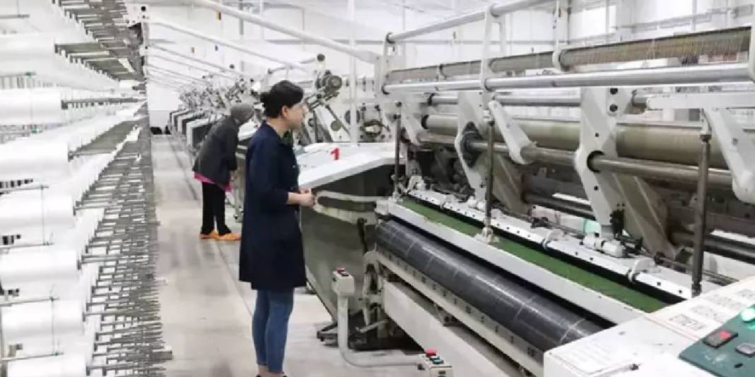 Yozgat’tan Avrupa yollarına! Devlet destekliyor, 150 ton üretim yapılıyor: Birçok ülkeye ihraç ediliyor 4